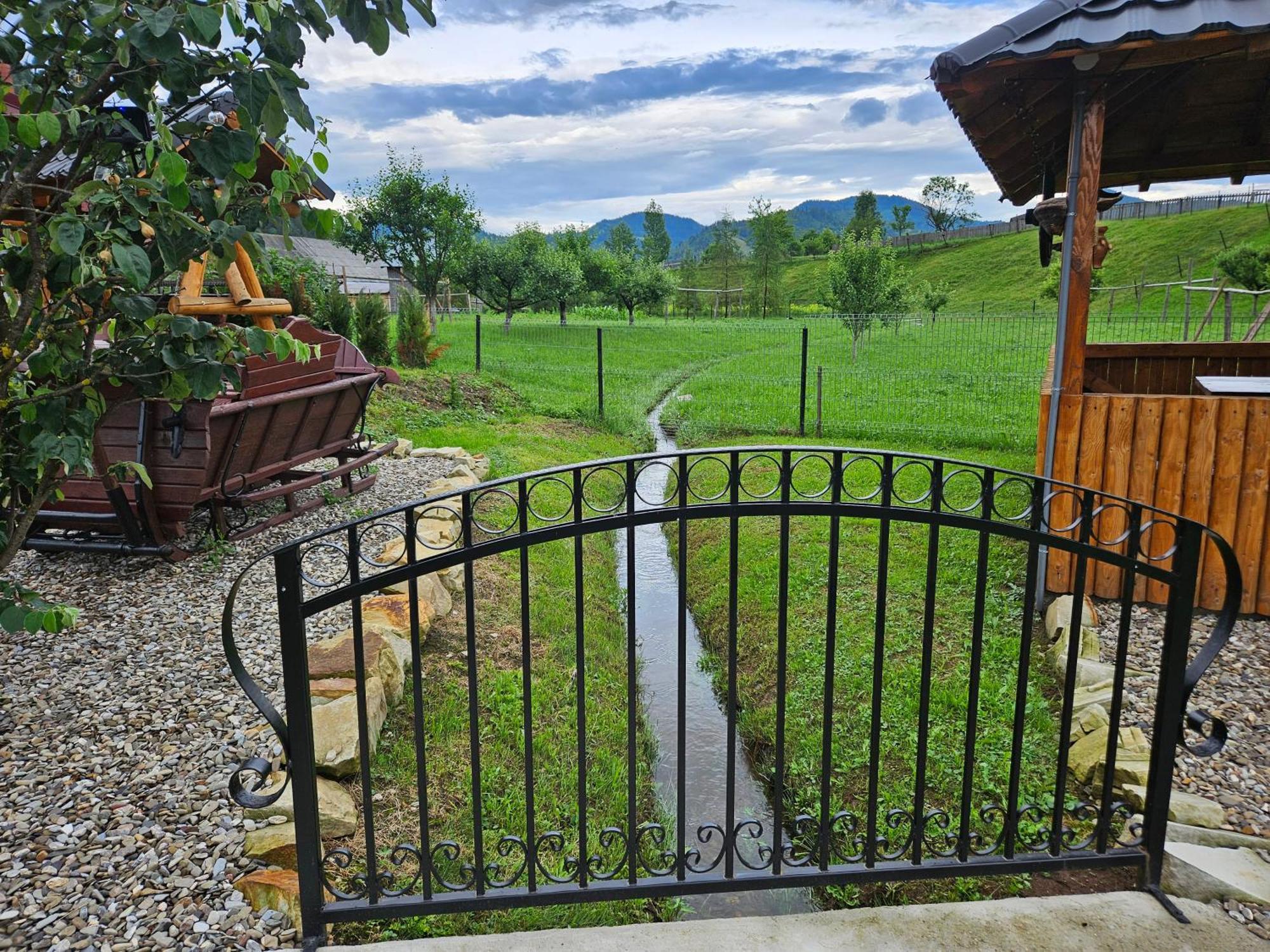 Cabana Alesia, Relaxare La Poalele Raraului Câmpulung Moldovenesc Exterior foto